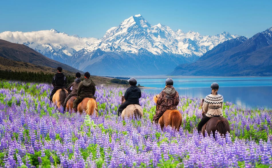 Mt Cook National Park in New Zealand.