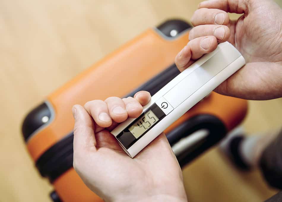 Portable Luggage Scale