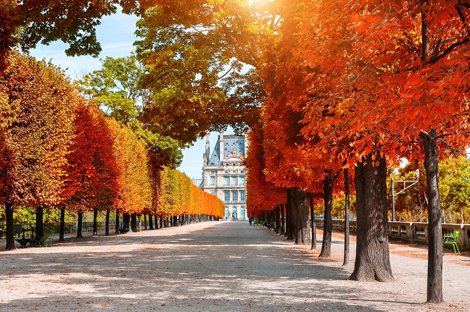 Tuileries Garden Paris