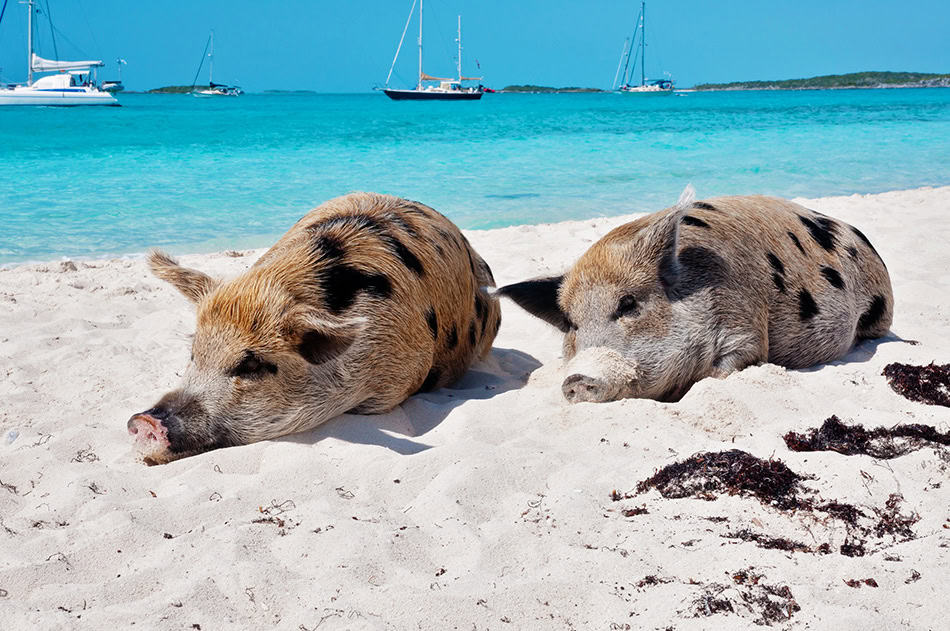 Exuma Cays in Bahamas