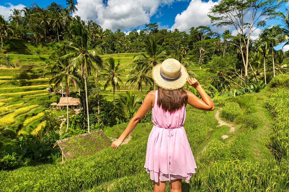 Ubud Rice Fields Bali