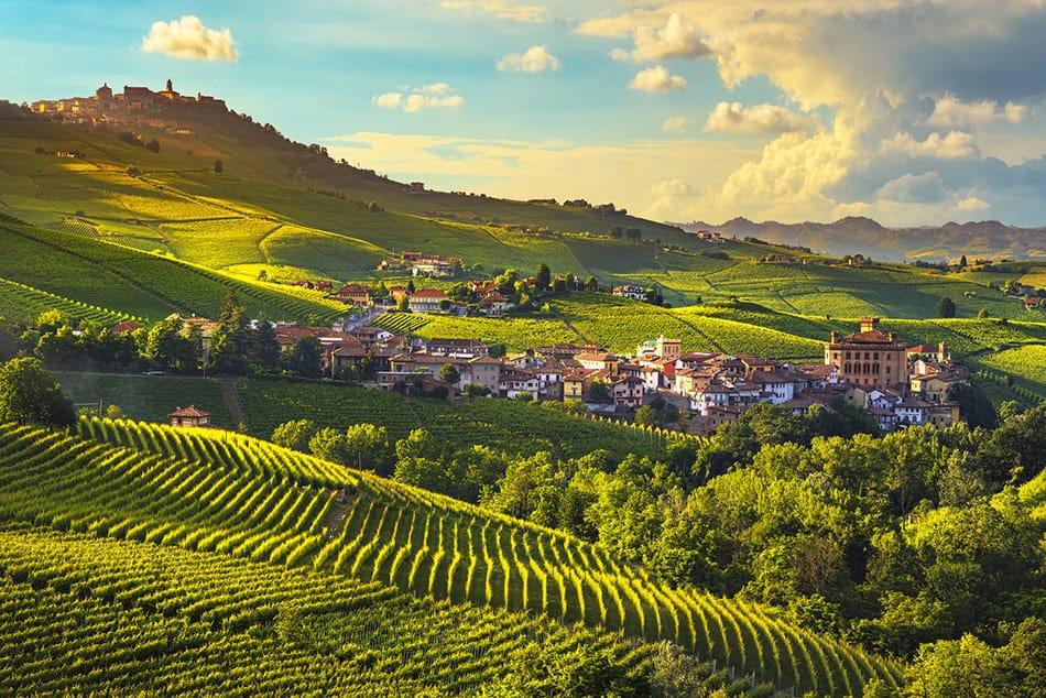 Langhe vineyards panorama, Barolo village, Piedmont, Italy