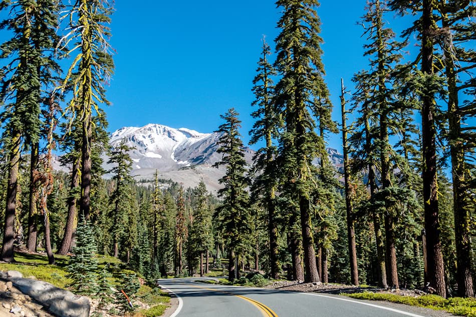 Shasta-Trinity National Forest and landscapes USA